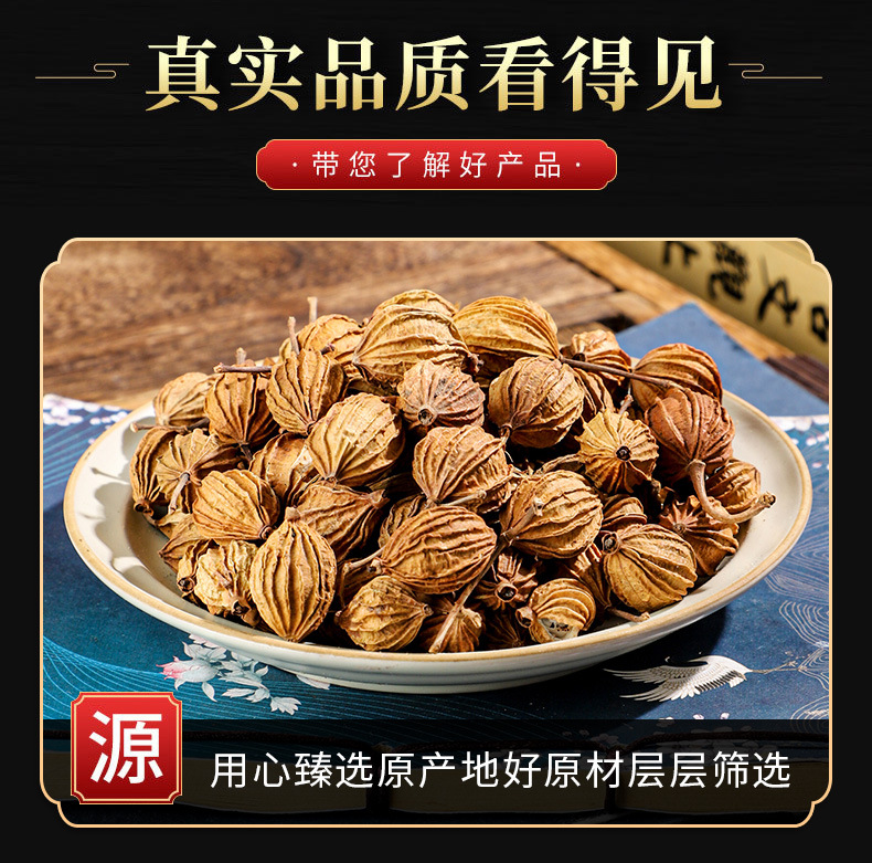 Xiang Sha (Amomum villosum-like Fruit) — Dried Culinary Spice for Stews & Braises, 500g key features