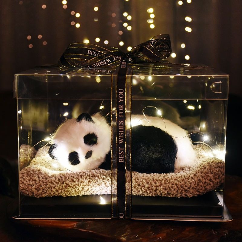 Gato Chichi, regalo de cumpleaños para su esposa, amiga, compañera de clase, regalo de caja de regalo asequible. image 19