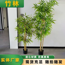 仿真绿植;花盆容器;盆景
