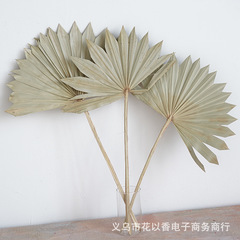 【観音扇】ミニ蒲葵扇葉太陽扇家庭装飾ソフト田園風乾花瓶挿し花束