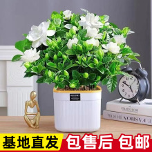 �d�ӻ����Ԏ������ļ��_������ζĵ���ذ���ˮ�����p���辰�Gֲ