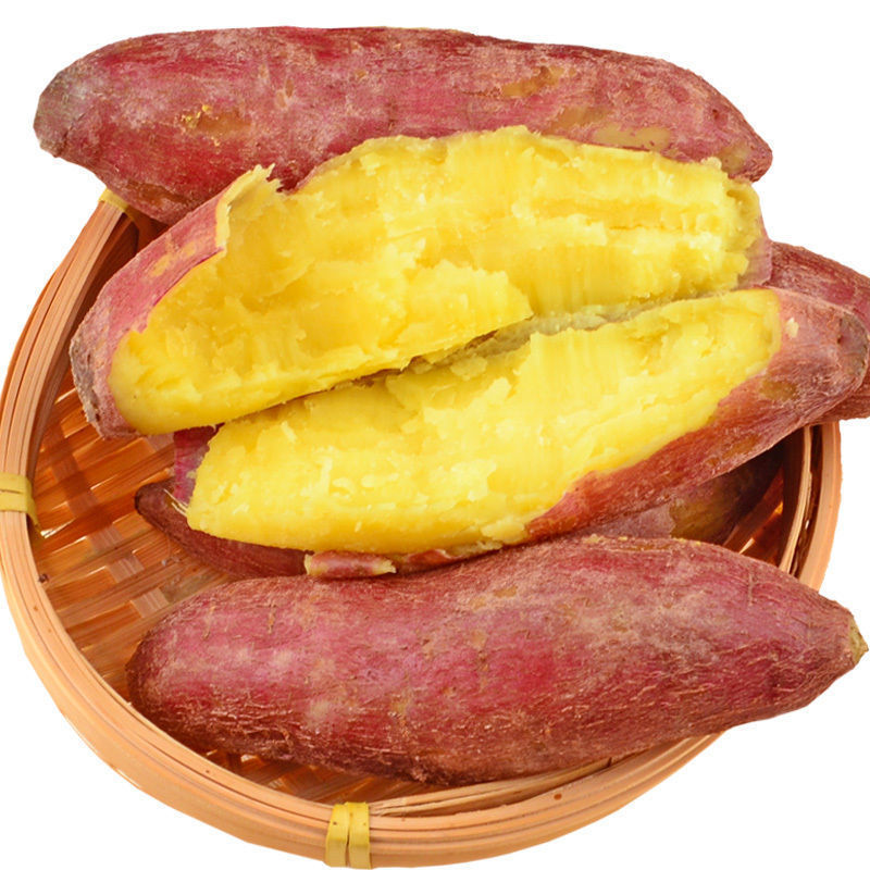 【 2.5kg 】엄선 밤감자【큰 과일】