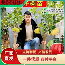 һ�����l�޽����Ә��m���Լt�ļt���������t���ֹ�������ϱ����N