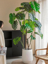 �۴ɷ���Gֲ�٘������B������ֲ�����Ԕ[���p���҃ȿ͏d�b��쾰