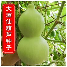 ɺJNӾɺJϷNشƺJͥԺ̨Jȫ