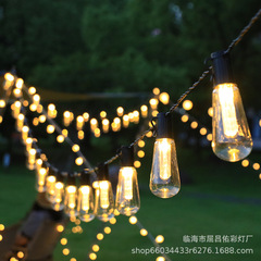 led太阳能爱迪生球泡灯串透明木瓜灯串灯庭院花园户外露营装饰灯