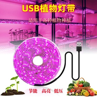 5V LED�͉�ȫ���V��ˮ���L���l USBֲ��􎧶����a��������߻���