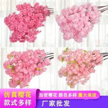 ���]����ѻ�֦��c�ѻ���÷���һ�֦���ϻ��҃ȿ͏d��픻����̨