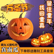 �f�}�������Ϲϟ�ͯ�ֹ�������Ϲ�DIY�Ϲ�Ͱ�b��\���ϰ�