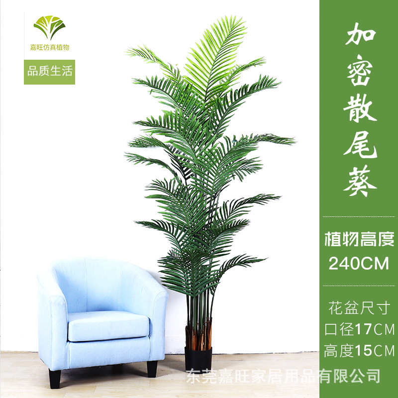北欧シミュレーション散尾葵盆栽偽植物室内貴妃緑植盆栽鳳尾客間装飾着地置物|undefined