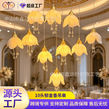 ���첼�õ���10ͷ�����㻨���ƻ����õ���װ�ε�LED��̨���ƹ���