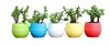 Rainbow small flowerpot, creative plastic automatic plant lamp flower-shaped, wholesale