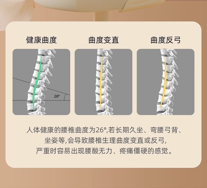 Zhebao Lumbar Support Pillow Cushion Seat Backrest for Long Sitting Posture Correction - Exclusive from the Source Manufacturer