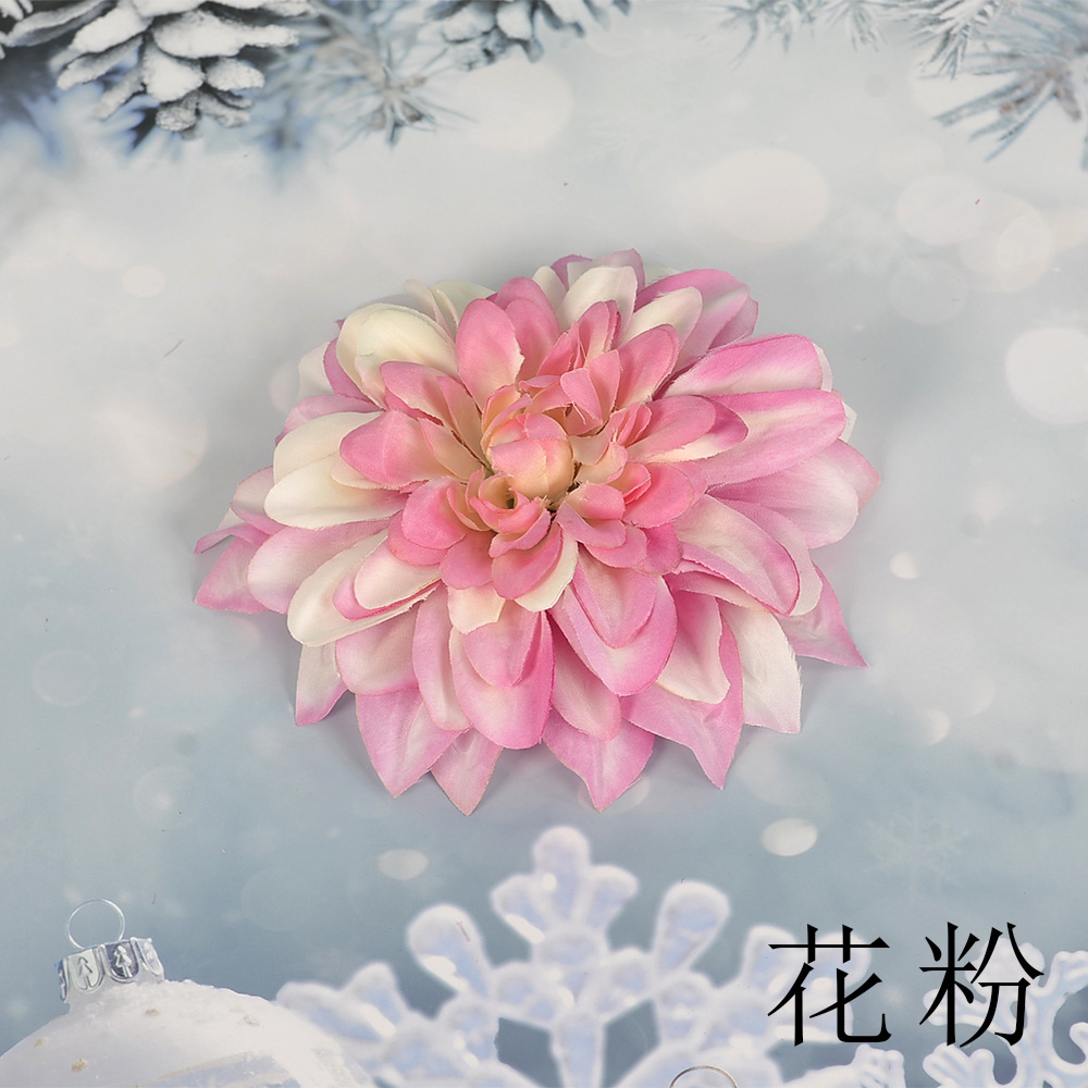 꽃가루 SL 큰 epiphyllum 꽃 머리