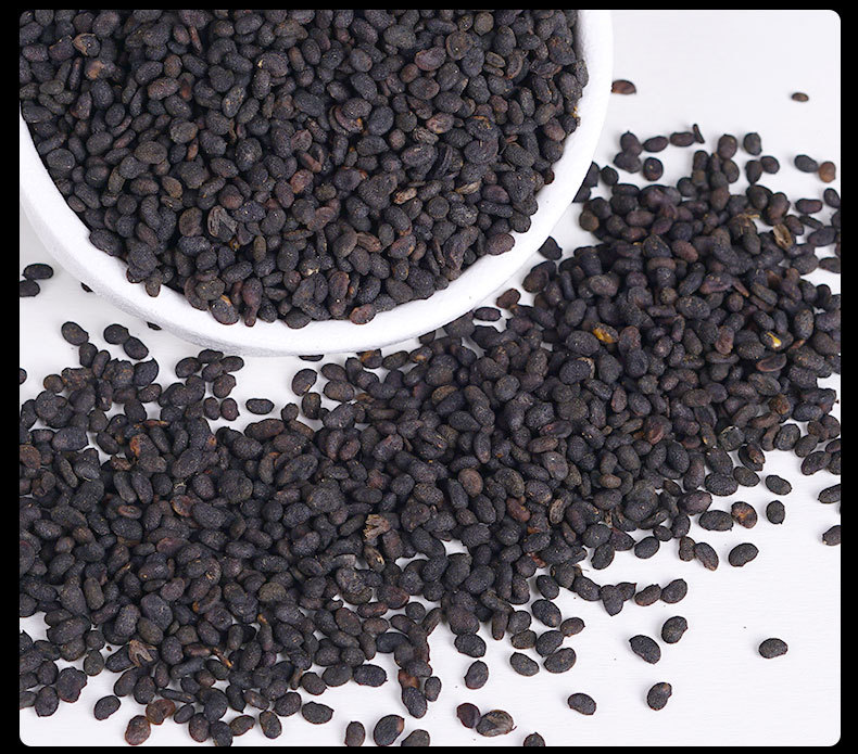 Bu Gu Zhi (Psoralea corylifolia) — Dried Food Herb, Salt-Processed & Raw Forms in use