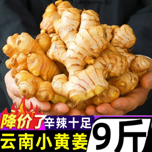 ���С�S��9�����r�r���ԷN�����н��۽��Ͻ�֭���ӽ�ɳ�����]