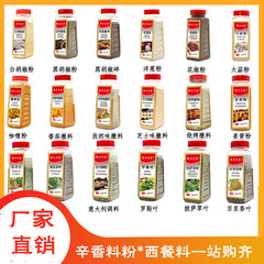生姜粉ニンニク粉胡椒塩粉胡椒粉クミン粉唐辛子粉姜黄粉玉ねぎ香辛料粉
