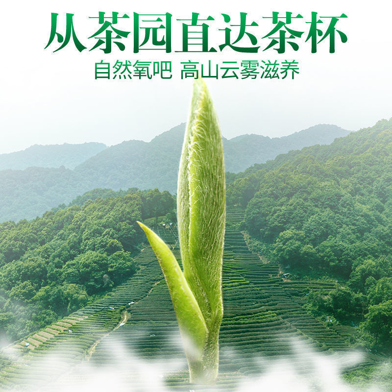 黄山毛峰 2025 新茶 明前茶 安徽省本場の若芽毛尖緑茶 250g シンプルギフトボックス入り茶葉|undefined