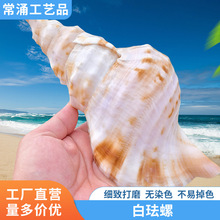 ������Ȼ���ݴ�����ʯ�P����ؔ�� ���~���쾰����̖�����Ĵ�����