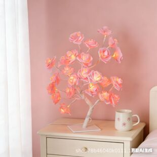 �羳����ʟ��ɲ�ж���ϵ���USB�_�PLED����õ�廨����b�Сҹ��