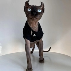 猫服、高級シンプルノースリーブ薄手半袖デビンスフィンクス無毛猫オールシーズンペット服