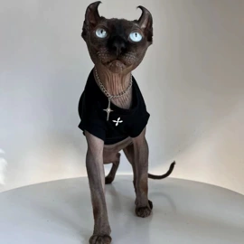 狗狗服装;猫猫服饰;宠物围巾