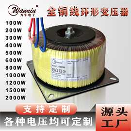 环牛纯铜隔离环形变压器220V转48V 60V 100W86步进电机定制电源