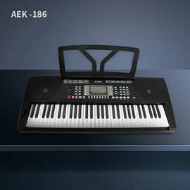 跨境爱尔科英文版电子琴61键儿童成年便携式多功能标准钢琴键