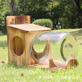 跨境木质松鼠喂食器户外园林宠物坚果玉米投食器喂鸟器松鼠野餐桌