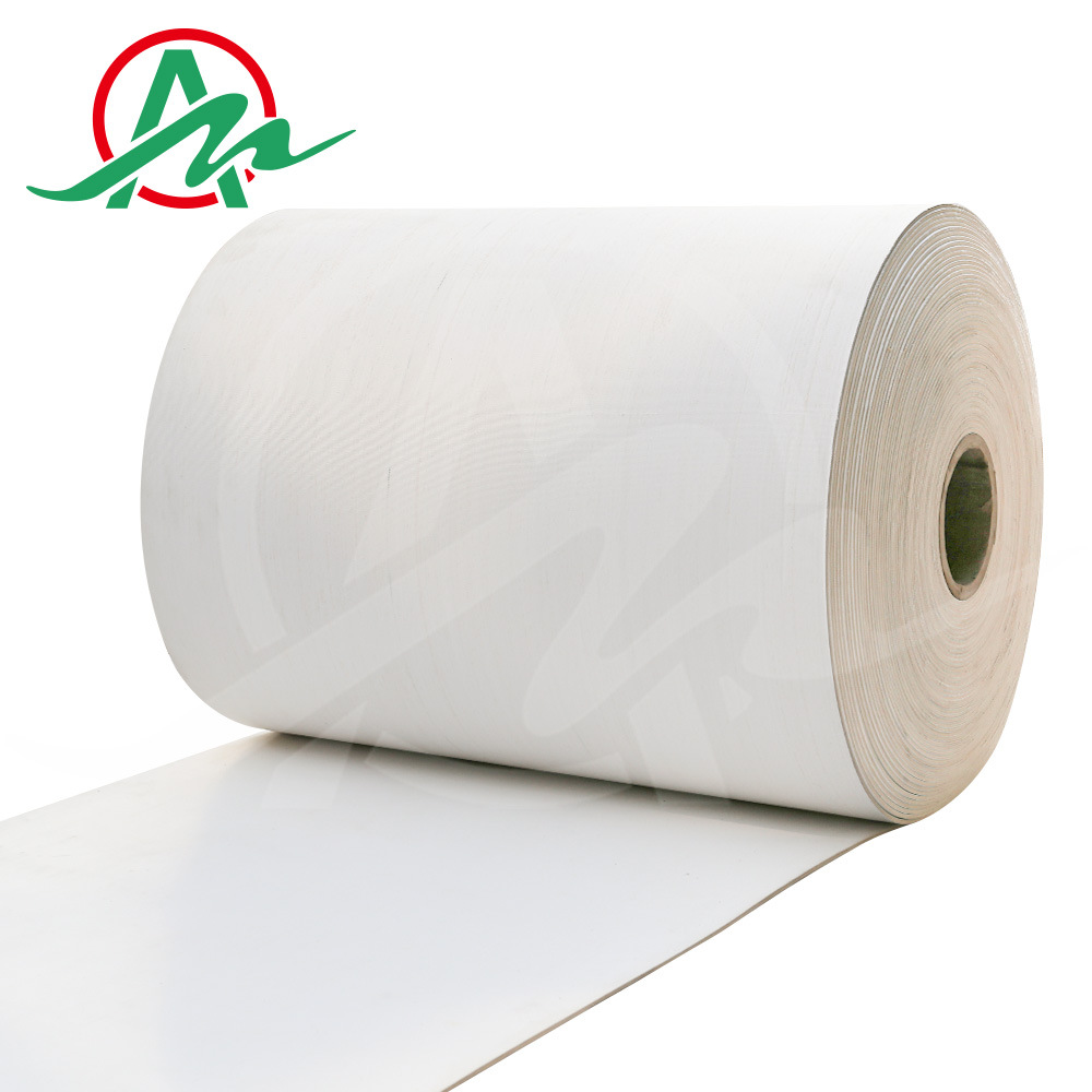 佛山工业皮带厂家 隧道炉食品流水线耐高温传送带 白色硅胶输送带