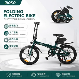 电动自行车