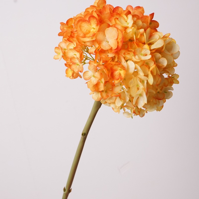 네덜란드 수국 큰 가지 - 오렌지