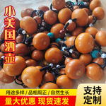 蜂蜡抛光防渗小酒葫芦摆件挂件 天然开口小葫芦 迷你手把件小酒壶