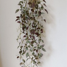 Gֲü~ع~bȼֲڒٗlm