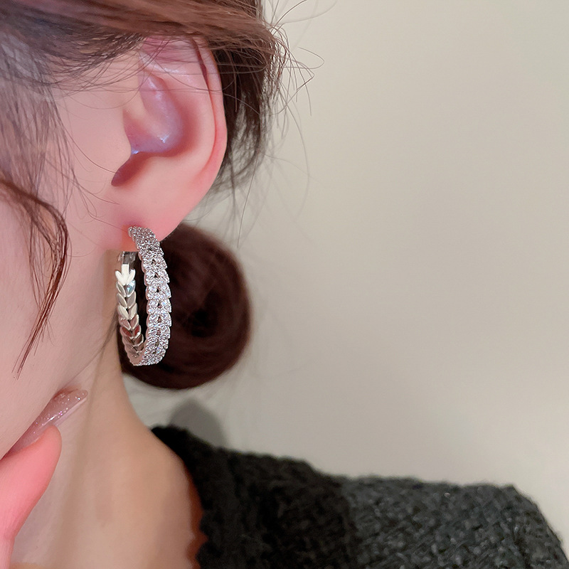 Fashion Circle Copper Inlay Zircon Earrings 1 Pair