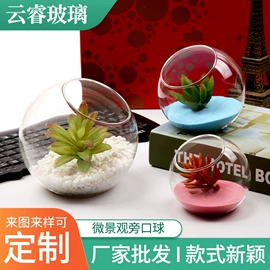 玻璃工艺品;装饰花瓶;微景观