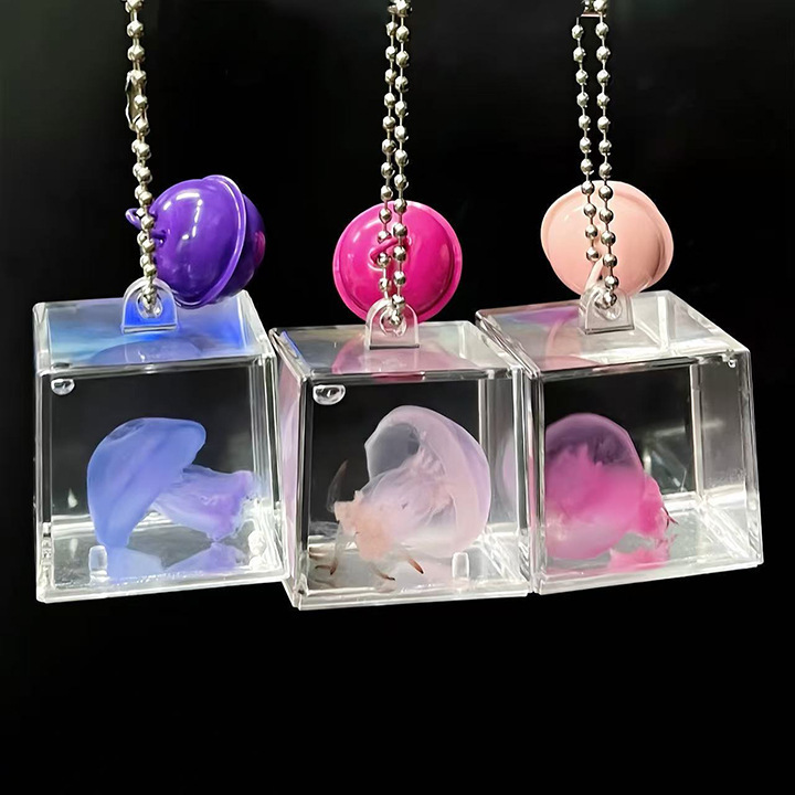 Colorful Real Jellyfish Specimen Pendant Quicksand Wishing Bottle Tiktok Trending Attraction Aquarium Cultural and Creative Souvenir Gift Colorful Real Jellyfish Specimen Pendant Quicksand Wishing Bottle Tiktok Trending Attraction Aquarium Cultural and Creative Souvenir Gift