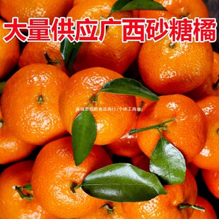 ������������ɳ�ǽ����rˮ��Сɰ��ɰ�ǽۏV�����ۏV��������֭