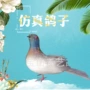 表演新款主题家居摆件