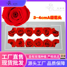������õ�廨�^3-4cm12���bA��diy����õ��Y�����˹��YƷ���l��
