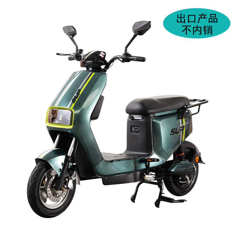 electric electric car for adults