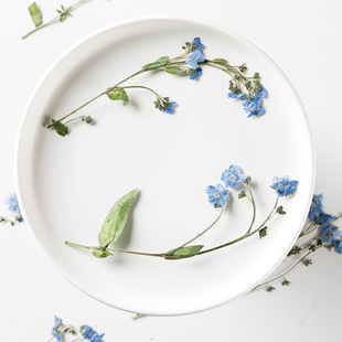 Forget Not Grass with Branches diy Real Flower Material Package Plant Specimen Dried Flower Bookmark Face Decoration Dried Flower