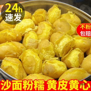 ���Cϣɭ��������10�ﺵɳ�طNֲɳ���S���R����߲�����F��