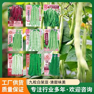 �ļ�ԭ�b�߲˷N���L���ǷN�Ӽܶ�ܿ��������������ͥԺ�Nֲ�׷N