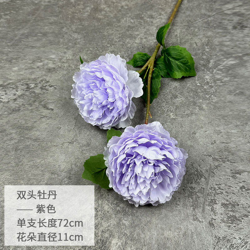 보라색