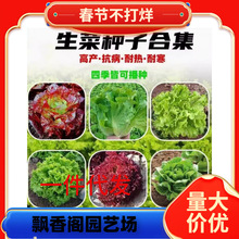 �߲˷N���ļ����N�}������ѷN�����[��������ײ˷N�Ӳ��ѷN��ȫ