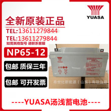 YUASA汤浅蓄电池12V65AH质保三年NP65-12规格参数尺寸应急储能