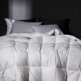Light Luxury 95 Goose Down Quilt Quilt Core Pure Cotton Spring and Autumn Quilt Winter Quilt White Goose Down Warm Quilt