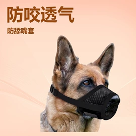 狗狗牵引;嘴套;猫猫牵引