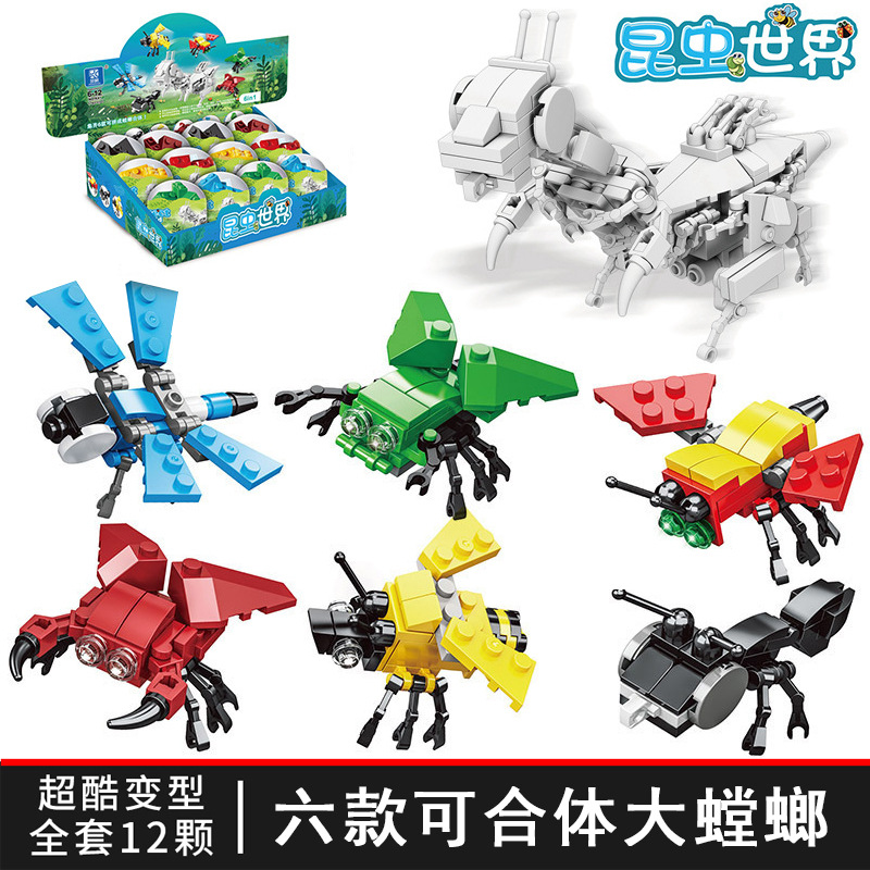 K41_昆虫世界 (按照倍数6拍)